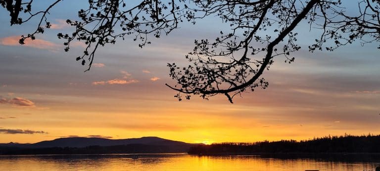 Spotlight On a Noteworthy North Saanich Resident: Tina Fraser-Baynes