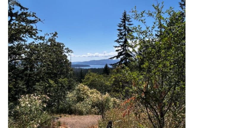 North Saanich on Foot (and bikes, trikes, and small wheels)