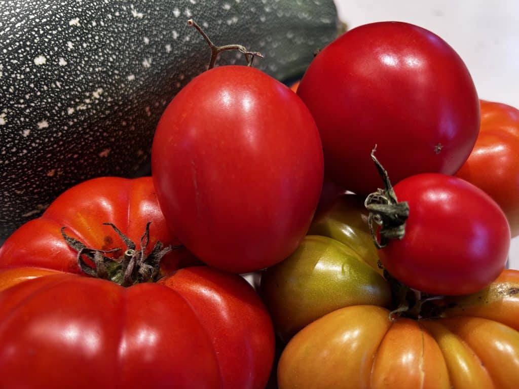 Photograph of a handful of locally grown tomatoes. Unfortunately, they are not photos of San Marzano tomatoes, Tina's favourites, but they are still certainly delicious.